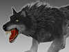 Gray Wolf 